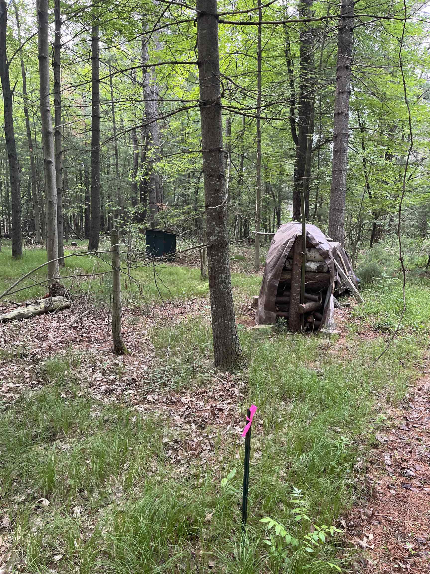 Wisconsin Dells, Wisconsin 53965, United States, ,Land,Active,149829