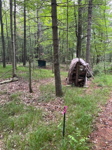 Tiny photo for 1365 Fur Court, Wisconsin Dells, WI 53965 (MLS # 2002038)