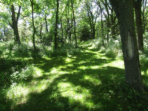 Tiny photo for 4 acres +- Glacier View Court, Milton, WI 53563 (MLS # 2002678)