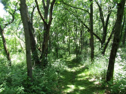 Tiny photo for 4 acres +- Glacier View Court, Milton, WI 53563 (MLS # 2002678)