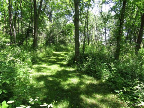 Tiny photo for 4 acres +- Glacier View Court, Milton, WI 53563 (MLS # 2002678)