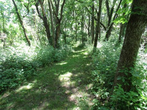 Tiny photo for 4 acres +- Glacier View Court, Milton, WI 53563 (MLS # 2002678)