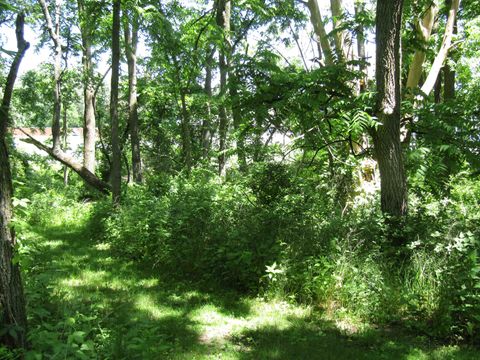 Tiny photo for 4 acres +- Glacier View Court, Milton, WI 53563 (MLS # 2002678)