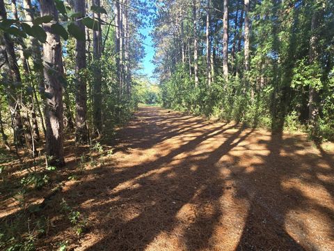 Tiny photo for N5655 County Road T, Princeton, WI 54968 (MLS # 2010448)