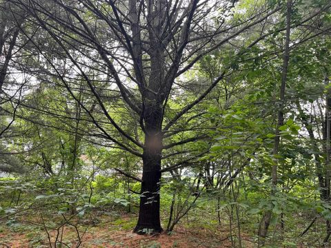 Tiny photo for 2946 14th Avenue, Wisconsin Dells, WI 53965 (MLS # 2001640)