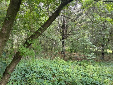 Tiny photo for 2946 14th Avenue, Wisconsin Dells, WI 53965 (MLS # 2001640)