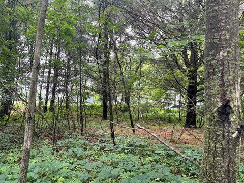 Tiny photo for 2946 14th Avenue, Wisconsin Dells, WI 53965 (MLS # 2001640)