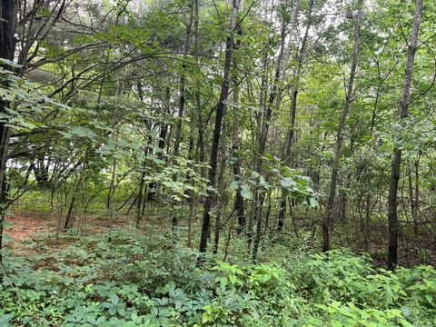 Tiny photo for 2946 14th Avenue, Wisconsin Dells, WI 53965 (MLS # 2001640)