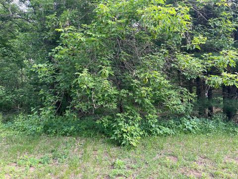 Tiny photo for 2946 14th Avenue, Wisconsin Dells, WI 53965 (MLS # 2001640)