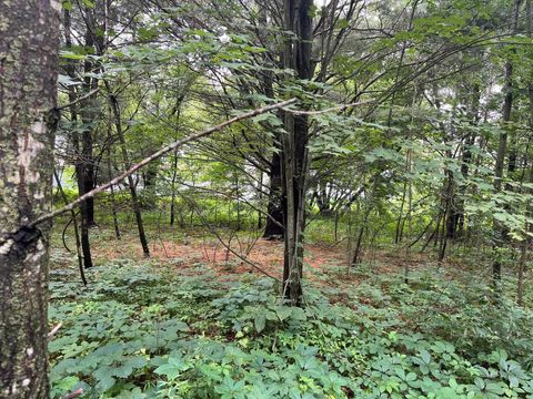 Tiny photo for 2946 14th Avenue, Wisconsin Dells, WI 53965 (MLS # 2001640)