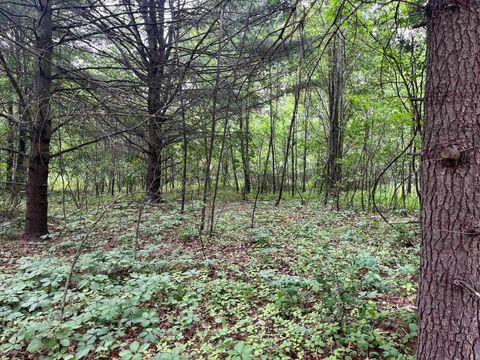 Tiny photo for 2946 14th Avenue, Wisconsin Dells, WI 53965 (MLS # 2001640)