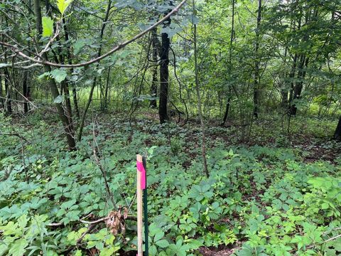 Tiny photo for 2946 14th Avenue, Wisconsin Dells, WI 53965 (MLS # 2001640)