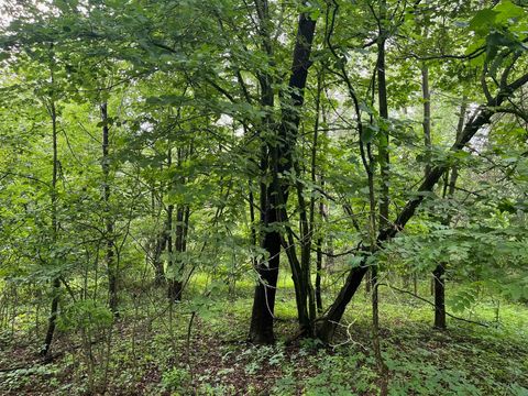 Tiny photo for 2946 14th Avenue, Wisconsin Dells, WI 53965 (MLS # 2001640)