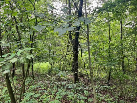 Tiny photo for 2946 14th Avenue, Wisconsin Dells, WI 53965 (MLS # 2001640)