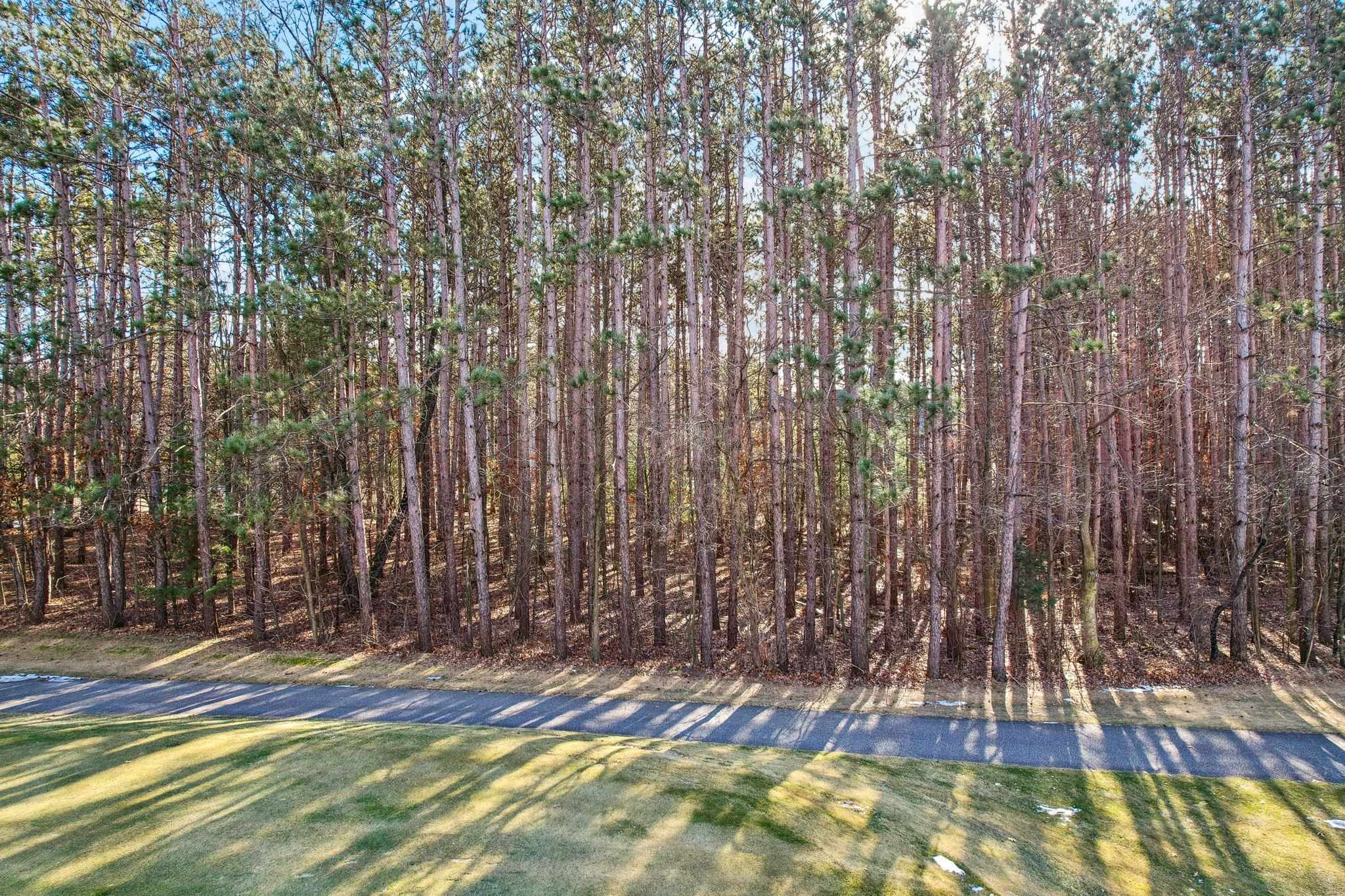 Reedsburg, Wisconsin 53959, United States, ,Land,Active,12640