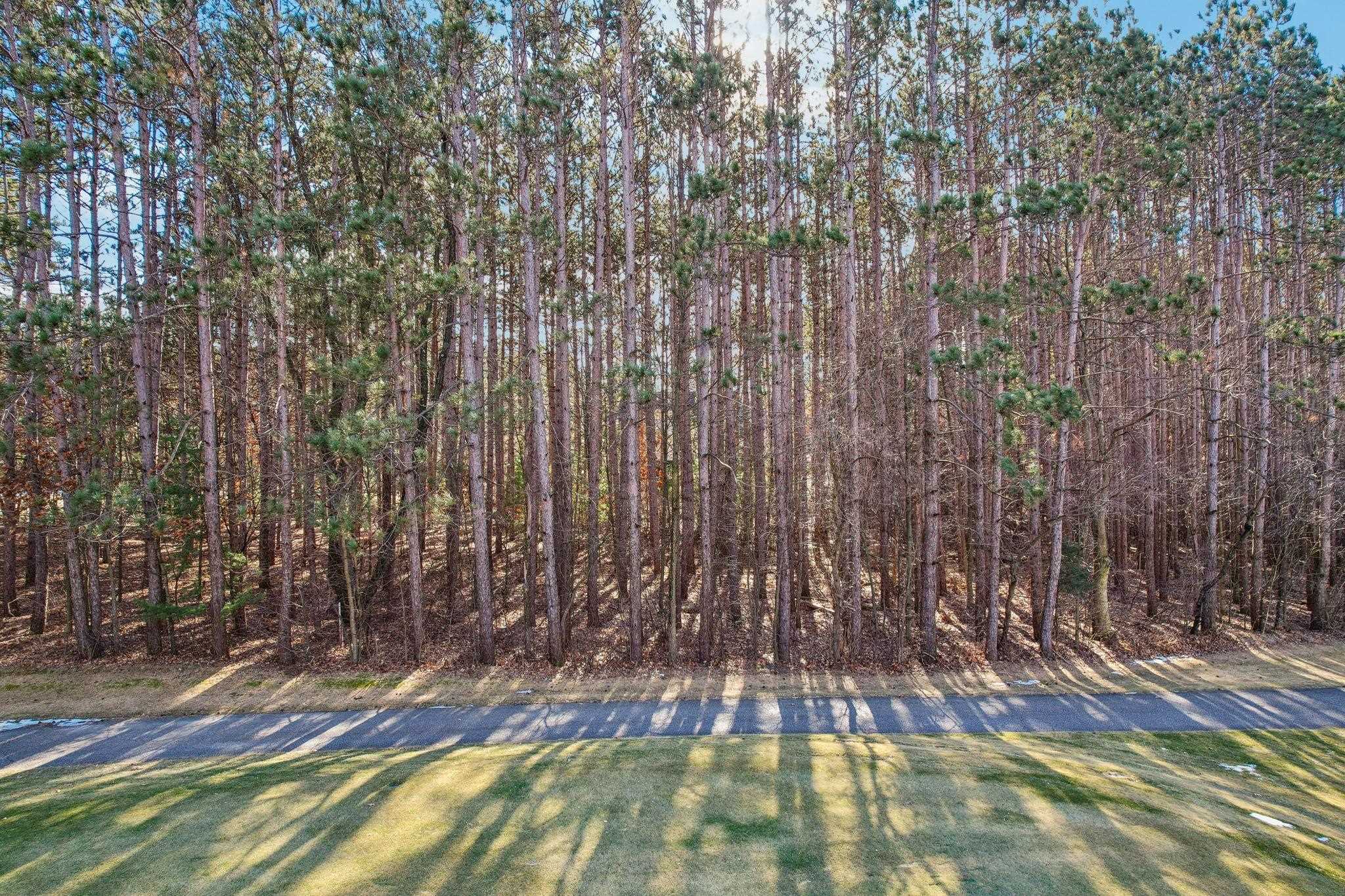 Reedsburg, Wisconsin 53959, United States, ,Land,Active,12640