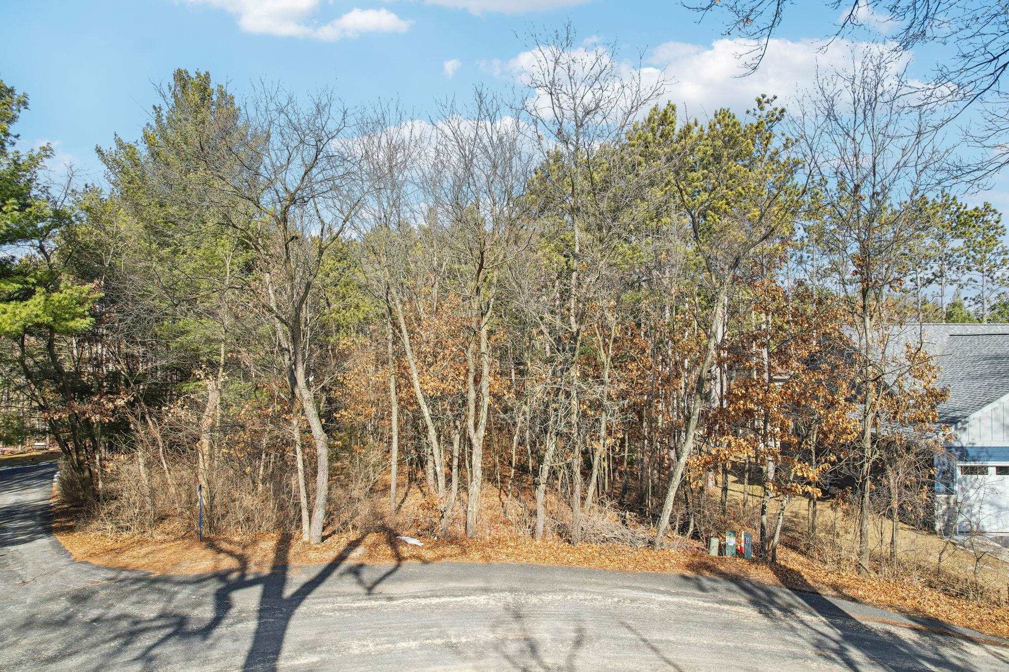 Reedsburg, Wisconsin 53959, United States, ,Land,Active,12640