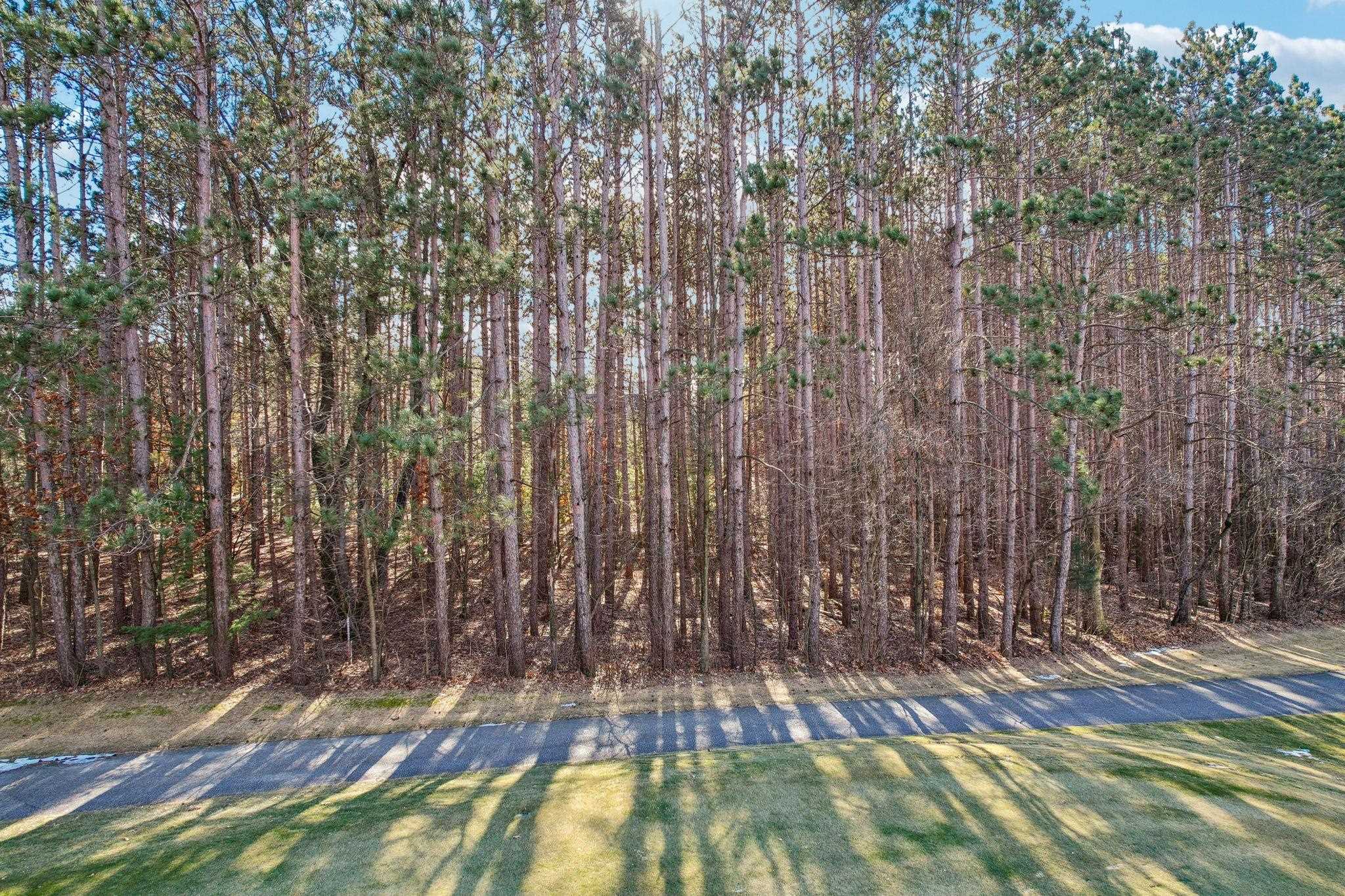 Reedsburg, Wisconsin 53959, United States, ,Land,Active,12640