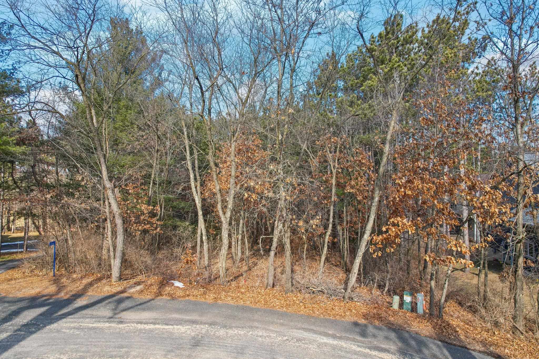 Reedsburg, Wisconsin 53959, United States, ,Land,Active,12640