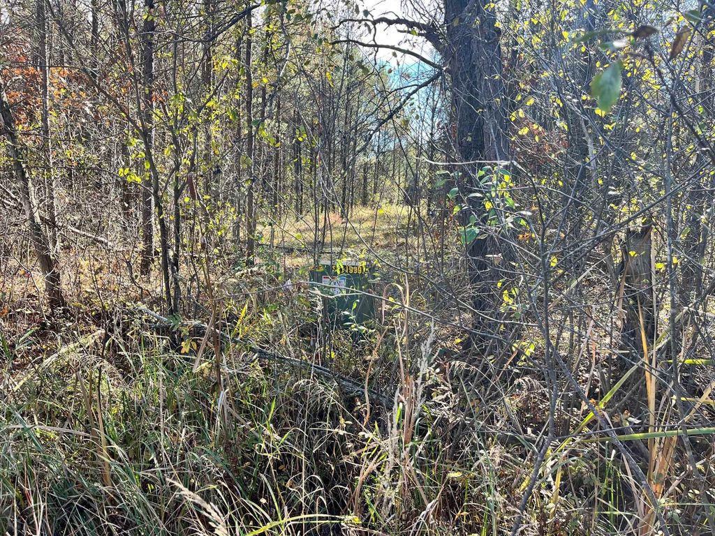 Photo for 1035 Beaver Avenue, Nekoosa, WI 54457 (MLS # 2011397)
