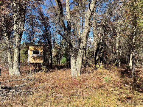 Tiny photo for 1035 Beaver Avenue, Nekoosa, WI 54457 (MLS # 2011397)