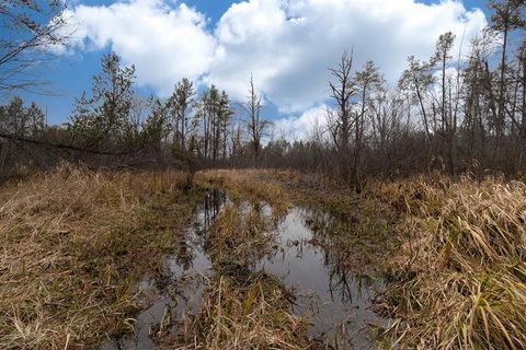 Tiny photo for 1035 Beaver Avenue, Nekoosa, WI 54457 (MLS # 2011397)