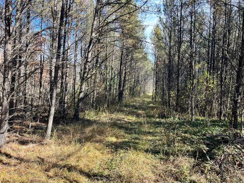 Tiny photo for 1035 Beaver Avenue, Nekoosa, WI 54457 (MLS # 2011397)