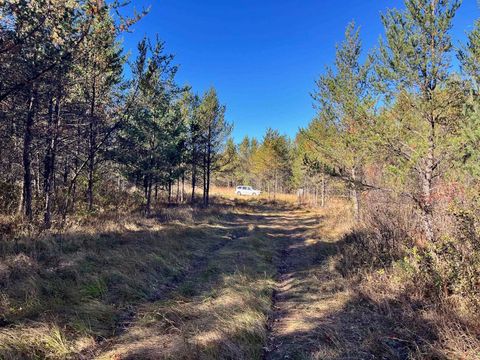 Tiny photo for 1035 Beaver Avenue, Nekoosa, WI 54457 (MLS # 2011397)
