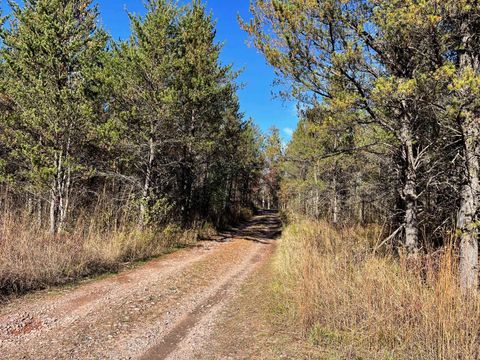 Tiny photo for 1035 Beaver Avenue, Nekoosa, WI 54457 (MLS # 2011397)