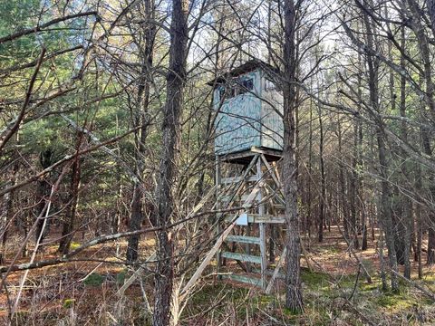 Tiny photo for 1035 Beaver Avenue, Nekoosa, WI 54457 (MLS # 2011397)