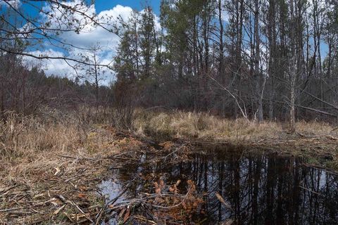 Tiny photo for 1035 Beaver Avenue, Nekoosa, WI 54457 (MLS # 2011397)