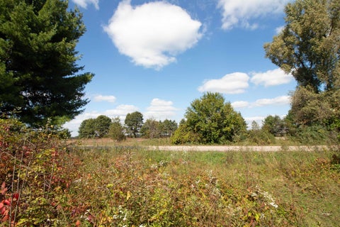 Photo of Lot 1 White Pine, Spring Green, WI 53588 (MLS # 2034336)