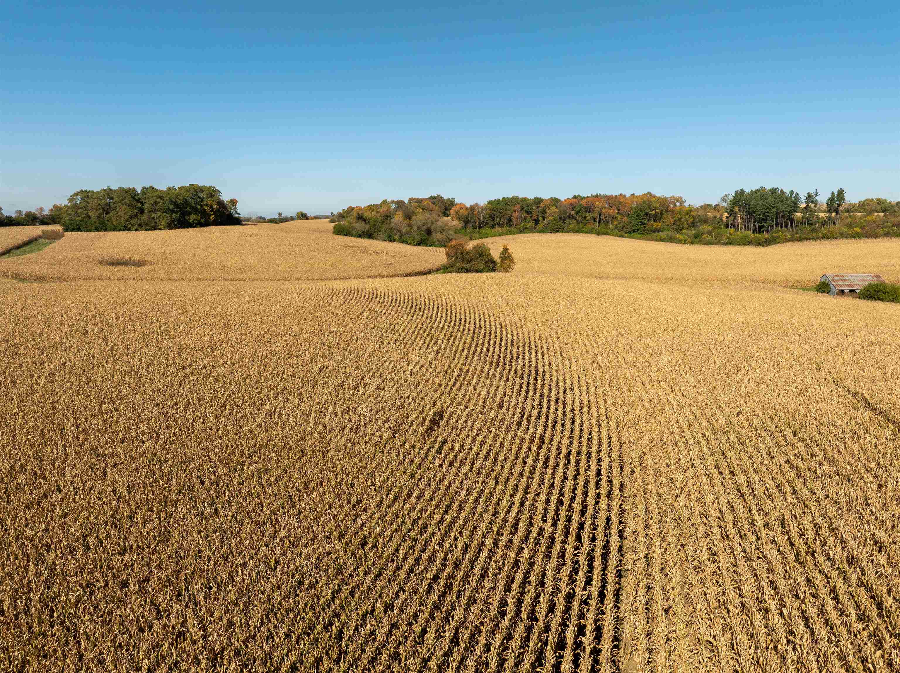 210.26± Acres Mt.Ridge Road