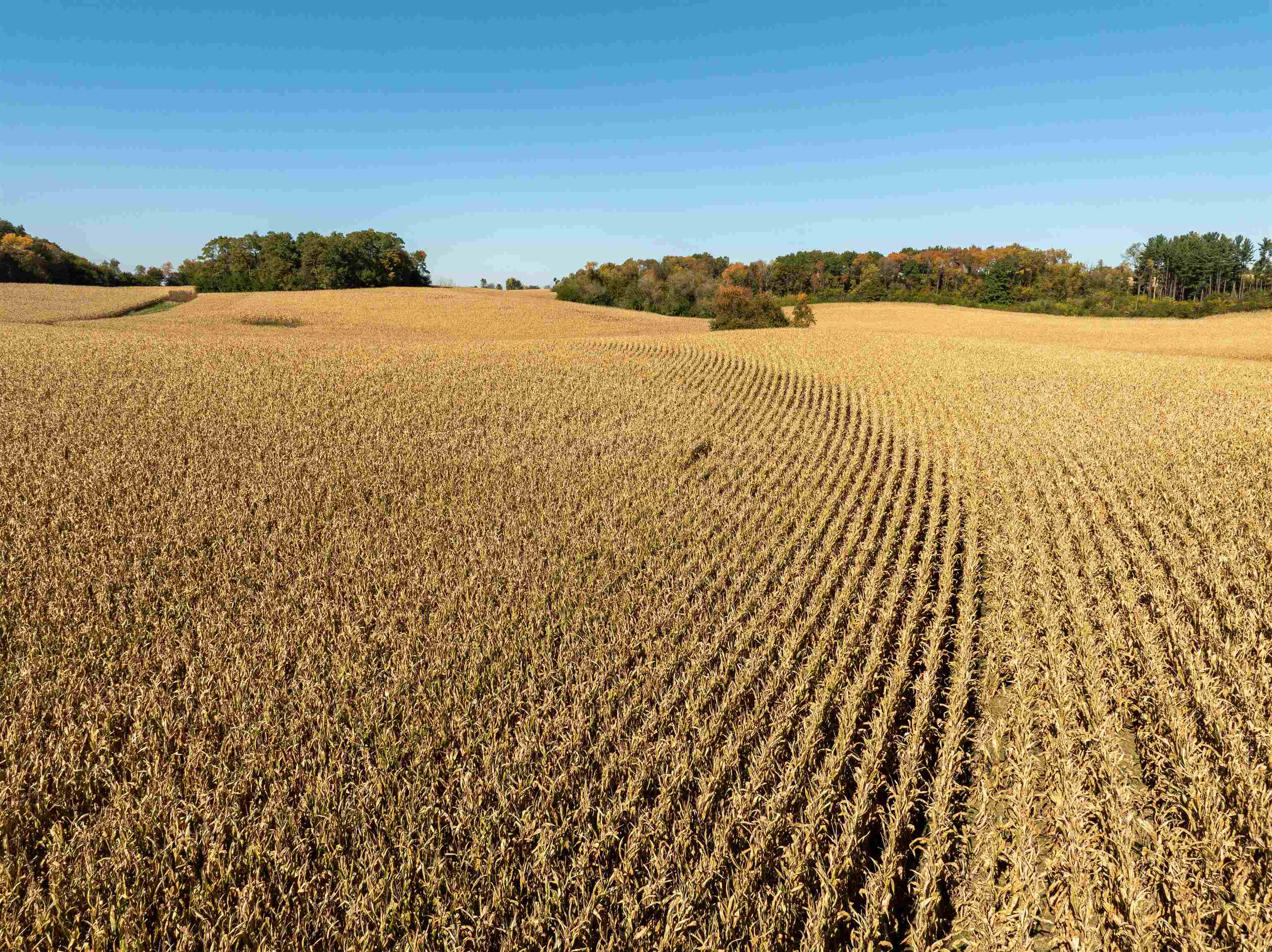 210.26± Acres Mt.Ridge Road