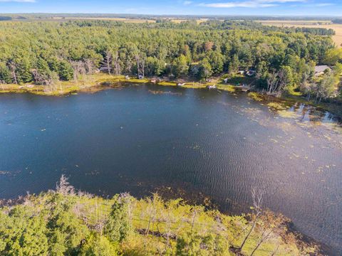 Tiny photo for N6241 Long Lake Road, Plainfield, WI 54966 (MLS # 2007865)