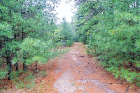 Tiny photo for 1804 4th Drive, Friendship, WI 53934 (MLS # 2000871)