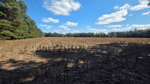 Photo of Cty Rd Z Road, Westfield, WI 53964 (MLS # 2033900)