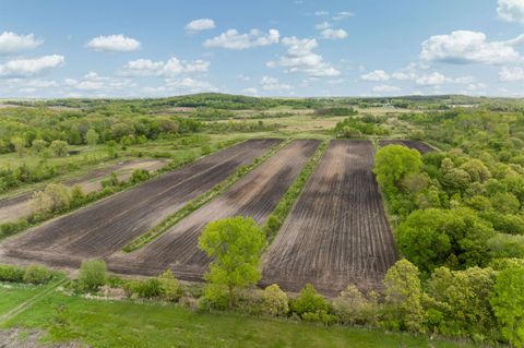 Tiny photo for N402 24th Avenue, Neshkoro, WI 54960 (MLS # 1996067)