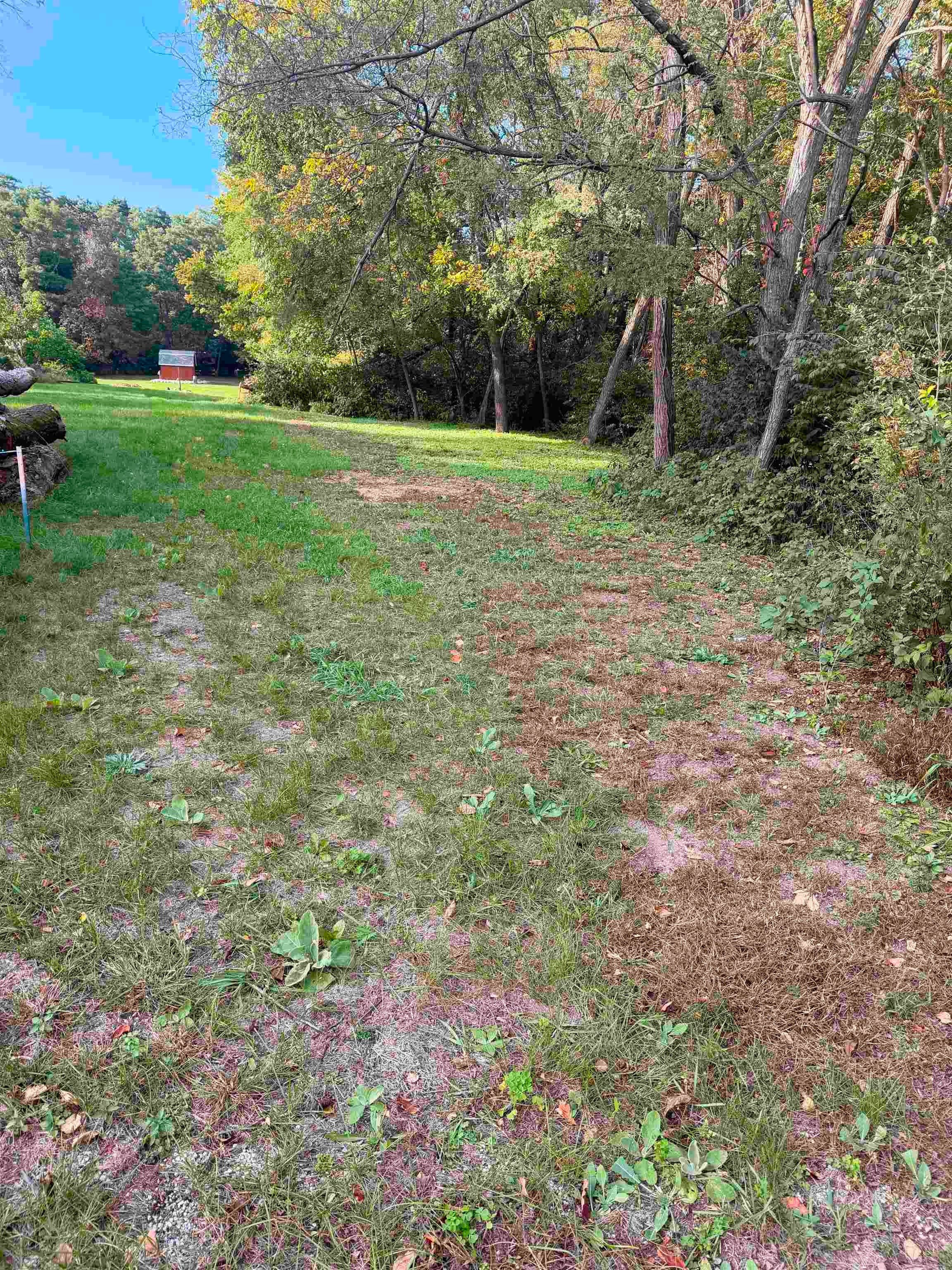 Lot 64 Sunrise Circle - Photo 3