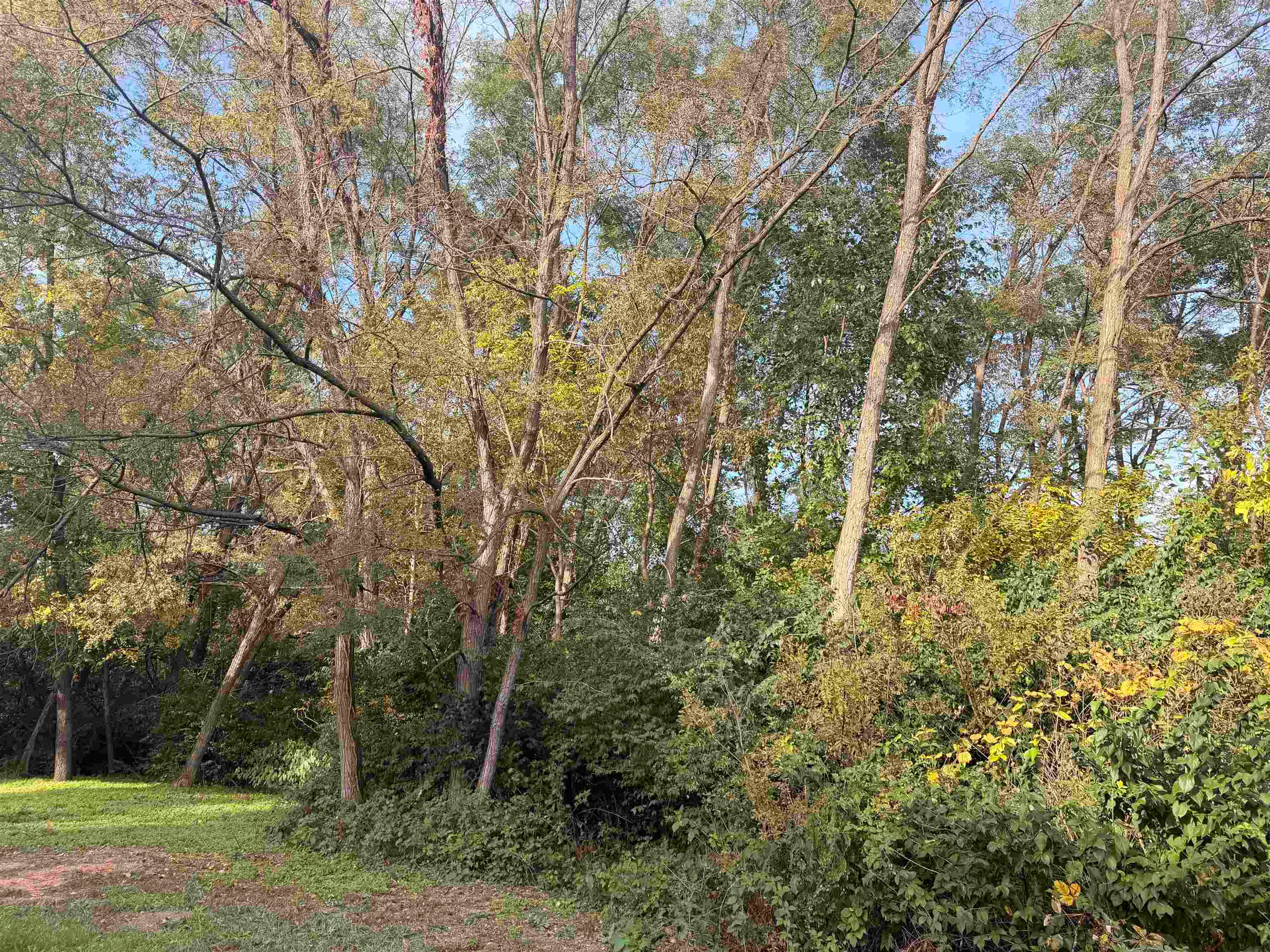 Lot 64 Sunrise Circle - Photo 2