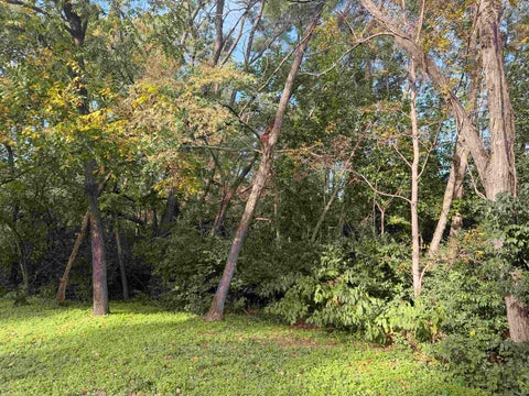 Photo of Lot 64 Sunrise Circle, Brodhead, WI 53520 (MLS # 2034470)