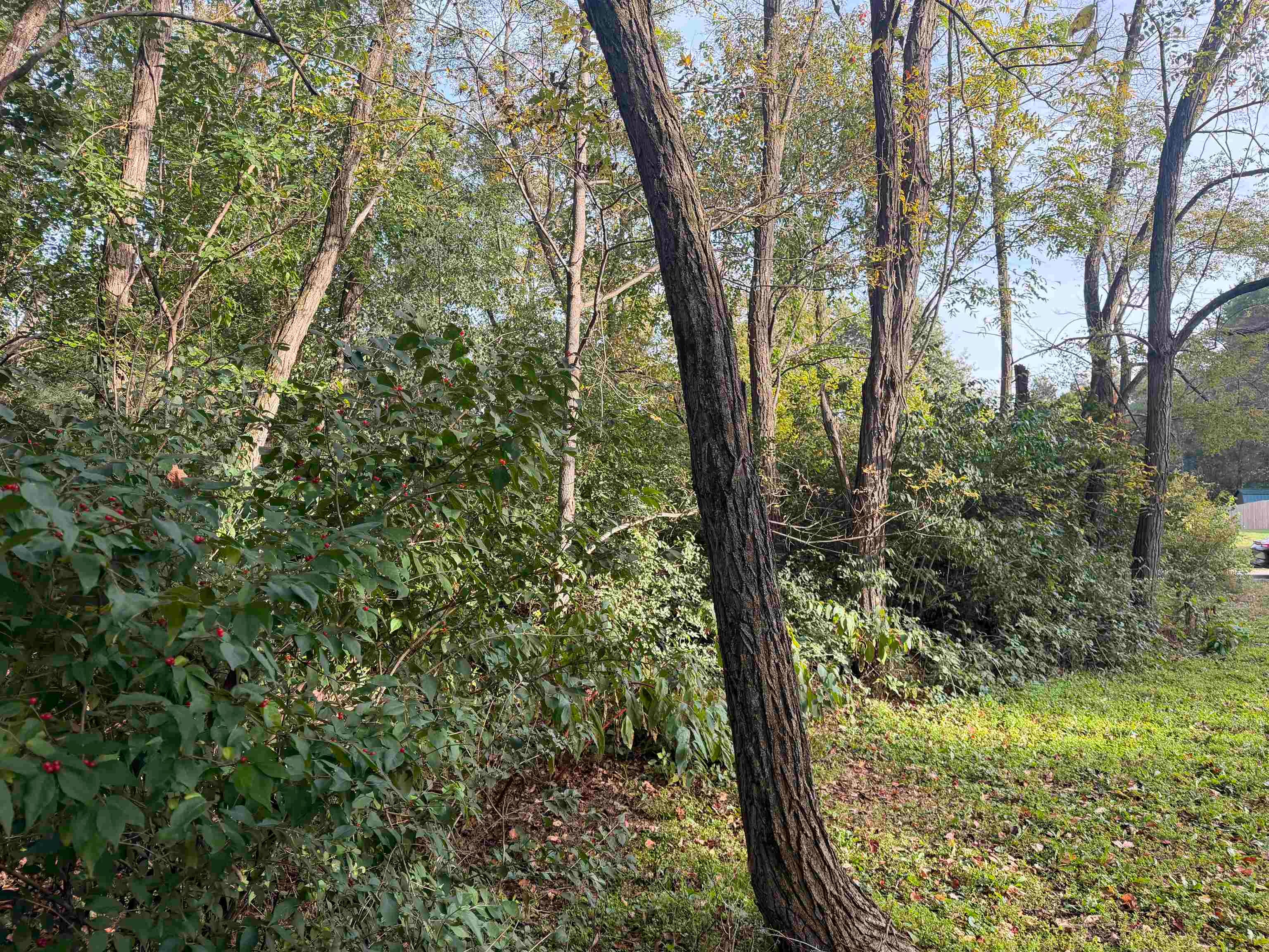 Lot 64 Sunrise Circle - Photo 4