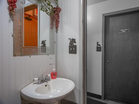 Tiny photo for 125 W BANNERMAN Avenue, Redgranite, WI 54970 (MLS # NE50308673)