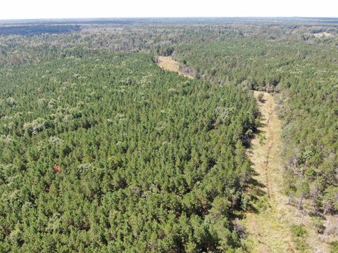 Tiny photo for 80 AC 14th Ct Acres, Arcadia, WI 54613 (MLS # 2009960)