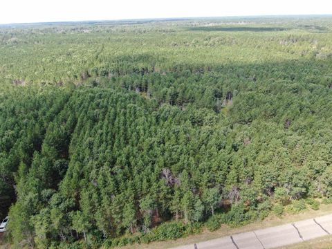 Tiny photo for 80 AC 14th Ct Acres, Arcadia, WI 54613 (MLS # 2009960)