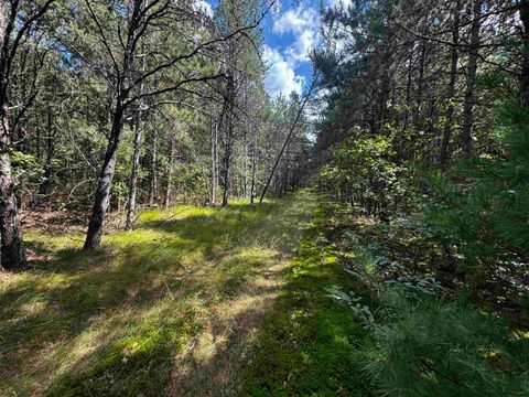 Tiny photo for 80 AC 14th Ct Acres, Arcadia, WI 54613 (MLS # 2009960)
