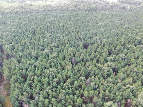 Tiny photo for 80 AC 14th Ct Acres, Arcadia, WI 54613 (MLS # 2009960)