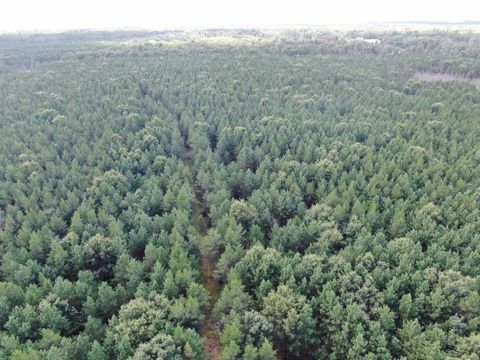 Tiny photo for 80 AC 14th Ct Acres, Arcadia, WI 54613 (MLS # 2009960)