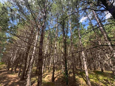 Tiny photo for 80 AC 14th Ct Acres, Arcadia, WI 54613 (MLS # 2009960)
