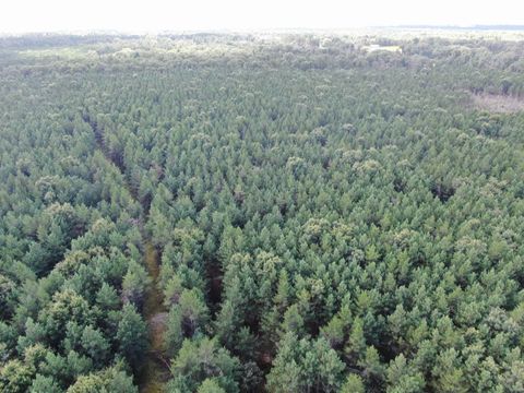 Tiny photo for 80 AC 14th Ct Acres, Arcadia, WI 54613 (MLS # 2009960)